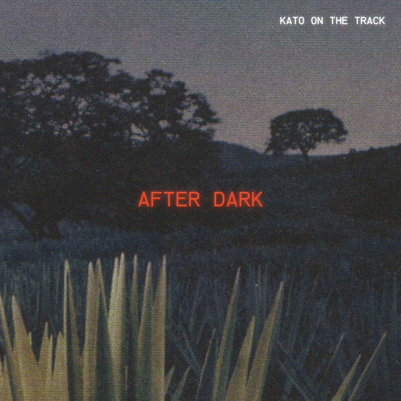 After Dark